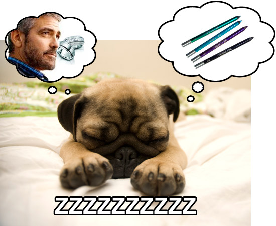 zzzz