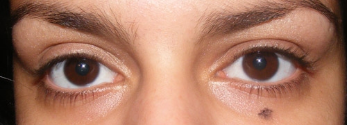 Resenha (Parte II): Pincéis Coastal Scents