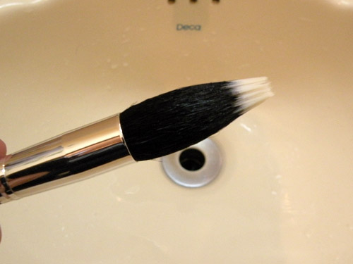 Brush Cleanser Shampoo Pharmacus