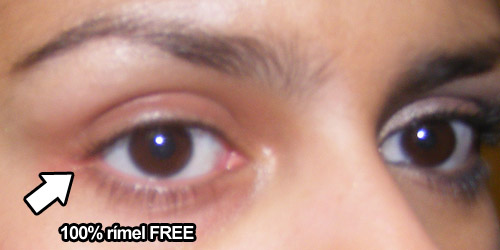 Resenha: Demaquilante Bifásico Para Área dos Olhos Panvel Faces - Parte II