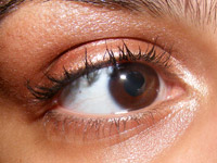 Look & Resenha: Wet n’ Wild Eye Expressions Pop Art