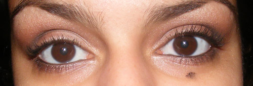 Resenha (Parte II): Pincéis Coastal Scents