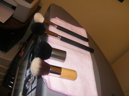 Teste da Solução Higienizadora de Pincéis Pharmacus