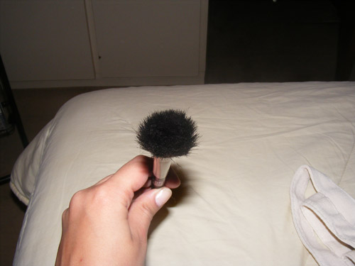 Teste da Solução Higienizadora de Pincéis Pharmacus