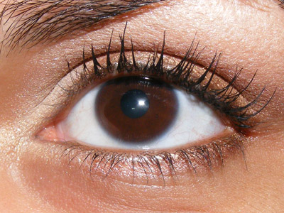 Look neutro: salmão e dourado 