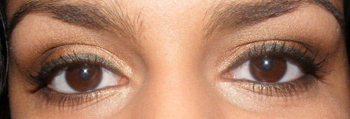 Resenha (Parte II): Pincéis Coastal Scents