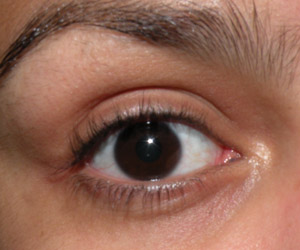 Fotinhos Comparativas: Curvex Shu, Prada e Marco Boni