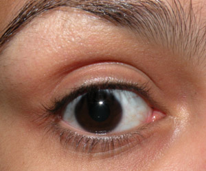 Fotinhos Comparativas: Curvex Shu, Prada e Marco Boni