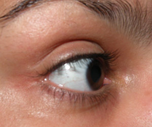 Fotinhos Comparativas: Curvex Shu, Prada e Marco Boni