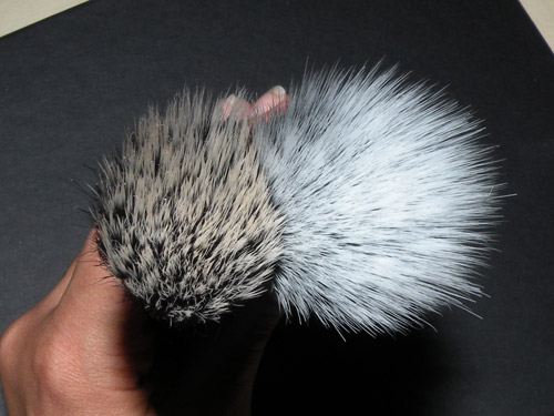 Primeiras Impress?es: Kit Sigma Essential Brushes