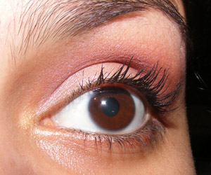 Tutorial: Rosinha básico para todo dia com sombra Jesse's Girl