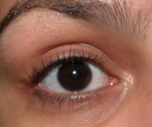 Fotinhos Comparativas: Curvex Shu, Prada e Marco Boni