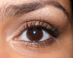 Look: Romp & Suspicion (MAC)