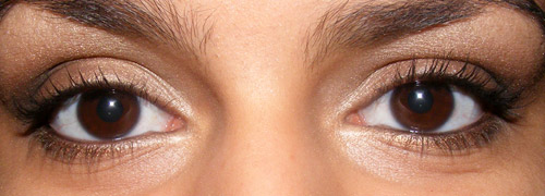 Look: Romp & Suspicion (MAC)