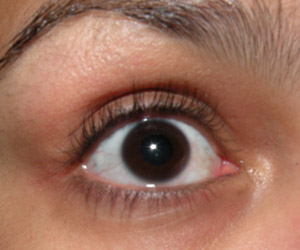 Fotinhos Comparativas: Curvex Shu, Prada e Marco Boni