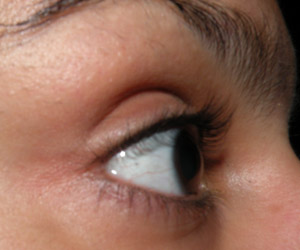 Fotinhos Comparativas: Curvex Shu, Prada e Marco Boni