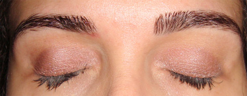 Resenha da Dany: Gel Fixador Estimulante de Sobrancelhas Pharmacus