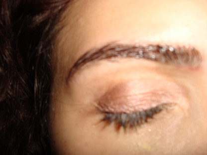 Resenha da Dany: Gel Fixador Estimulante de Sobrancelhas Pharmacus