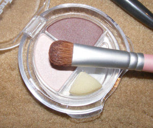 Tutorial: Rosinha básico para todo dia com sombra Jesse's Girl