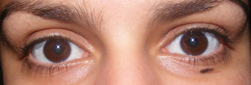 Resenha: Volume Shocking L’Oreal & Great Lash Maybelline