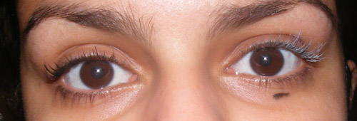 Resenha: Volume Shocking L’Oreal & Great Lash Maybelline