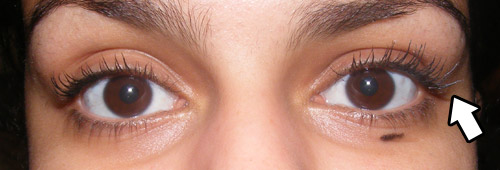 Resenha: Volume Shocking L’Oreal & Great Lash Maybelline