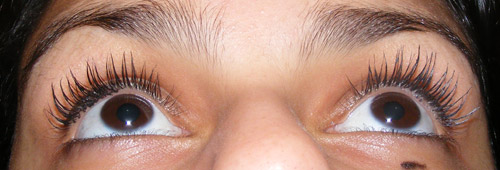 Resenha: Volume Shocking L’Oreal & Great Lash Maybelline